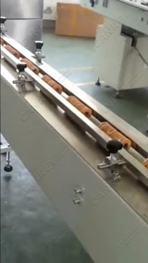 Automatic Biscuit Feeding Counting Packing System