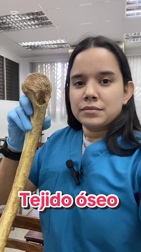 Tejido Esponjoso: Funciones y Importancia en los Huesos