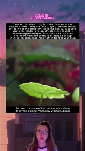 You Can Actually See Photosynthesis Happen
