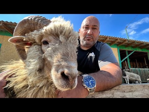 DELICIOUS Lamb's Heads Recipe from the Old Shepherd! 😋🐑🔥 | Caucasus Delicacy
