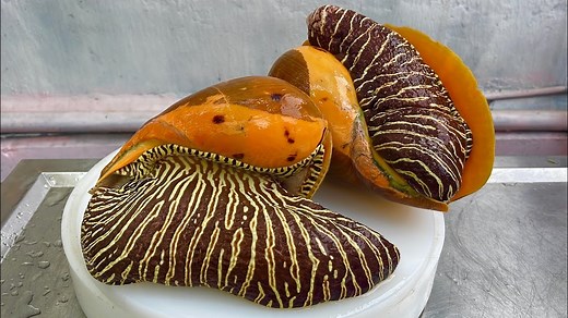 The most delicious sea snail recipe | Amazing Food Taste