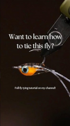 Learn How to Tie This Fly | The blob