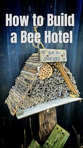 How to build a #Beehotel a lovely and simple thing that pretty much anyone can do to help wild and solitary #bees . Really all you’re doing is giving them a place to lay their eggs for the winter, and it also gives you the opportunity to observe lots of different species of #wildbees right on your doorstep. My effort isn’t perfect but I’ve done my best and hopefully bees will find it useful. There are no guarantees of course because the numbers of these little creatures are definitely down. But 