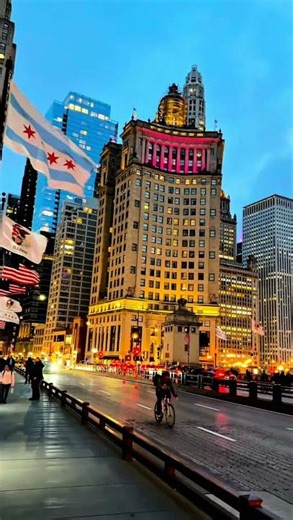 Travel With Me - Feels like summer in Chicago 🇺🇸 #shortvideo #usa #likee #followme #instago