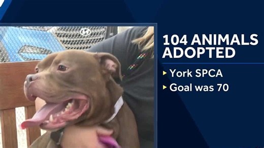 York County SPCA surpasses adoption goal with over 100 animals finding homes in two days