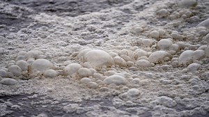 Lewes residents asked to reduce water usage as untreated sewage spills into waterway for days