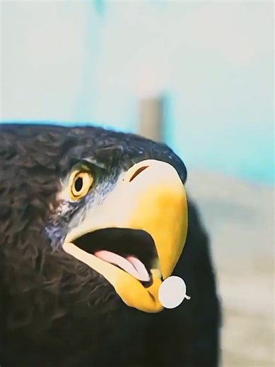 Amazing Facts About Parasites in 3D Animation