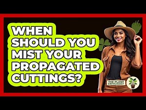 When Should You Mist Your Propagated Cuttings?