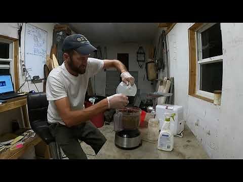 Processing Beaver Castor into Trapping Lure