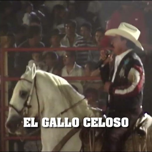 El Gallo Celoso - JOAN SEBASTIAN (En vivo)