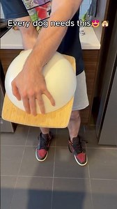 Double Shoulder Pet Carrier — Hands Free & Back Pain Free! 🐾🎒✨