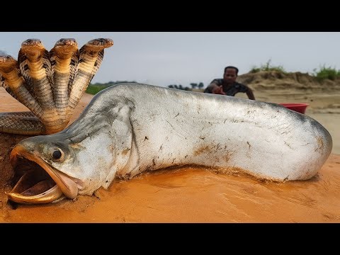 🤯 Crazy Fishing in Underground Tunnel & Secret Pond | Real Monster Fish Catch!