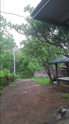 EAGLES | Peaceful Easy Feeling || Original song from Eagles (1972)