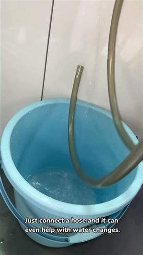 This Filter Upgrade Took Tank from Cloudy to Clear
