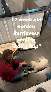 3.9K views · 66 reactions | ➡️Mastering impulse control is something...