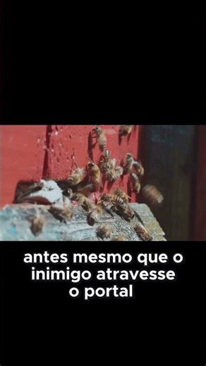 How the Chemical Alarm in a Hive Works