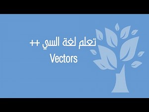 [01] C++ / Libraries / Vectors
