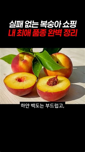 실패 없는 복숭아 쇼핑 내 최애 품종 완벽 정리 #복숭아 #신비복숭아 #납작복숭아