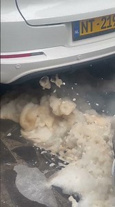 Nettoyage catalytique tiguan
