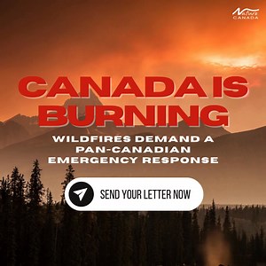 1.6K views · 935 reactions | Don't let wildfires destroy more of Canada. Urge our government to implement a comprehensive wildfire plan. | Nature Canada | Facebook