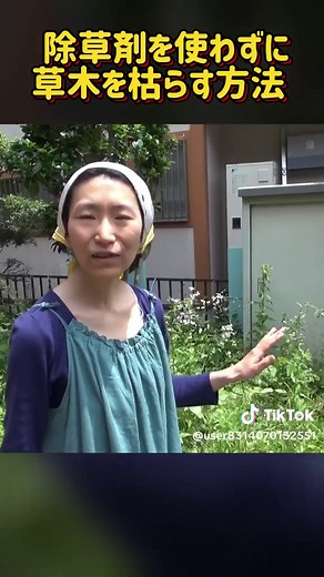 除草剤を使わずに草木を枯らす方法