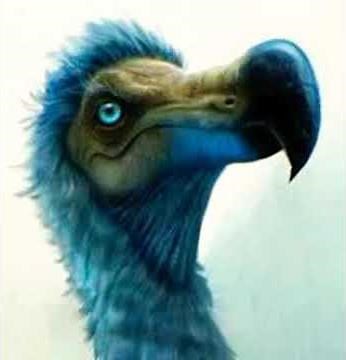 (Alice In The Wonderland 2011) The Dodo Bird's Squeak 🐦 🔊