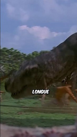 Les dents des animaux #animaux