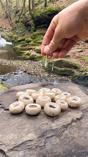 Outdoor Cooking in Nature: A Tranquil Experience