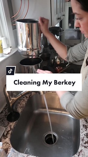 Berkey Water Filter: Pro One vs. Elements - Which is Best?