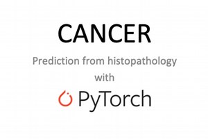 Predict Health - Cancer Predication with PyTorch