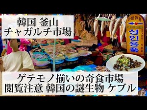 【チャガルチ市場/韓国 釜山🇰🇷】ゲテモノ揃いの奇食市場 韓国の謎生物ケブルを食べてみた