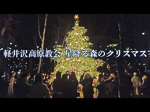 【軽井沢高原教会 星降る森のクリスマス 2025.12.05】無数のランタンキャンドルと高さ6mのクリスマスツリーが彩る幻想的な空間。ランタンを蹴飛ばさないよう注意。