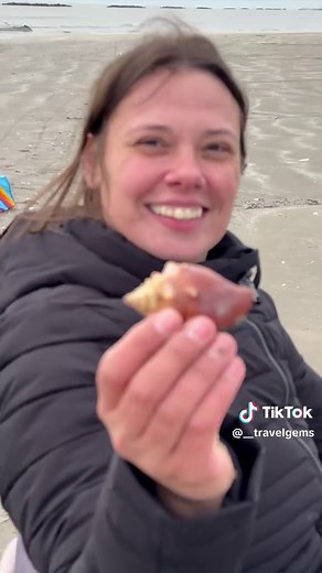 A freezing day finding shells on a Lousianna beach #fyp #travel #louisiana #beach #shell #treasurefinds