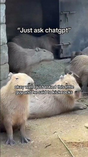 capybaras live in south american wetlands 🌿 Source: Ramsar Convention on Wetlands (ramsar.org)