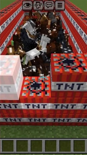 Horse vs TNT Explosion 💥 #minecraft #shorts #tnt #minecraftshorts #gaming