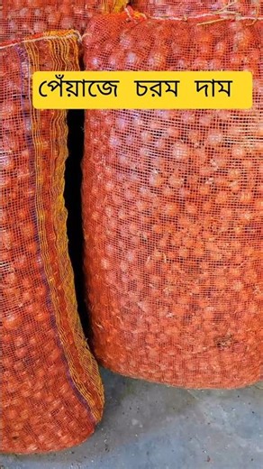 আজকের বাজারে পেঁয়াজ রসুন আলুর দাম কমছে।