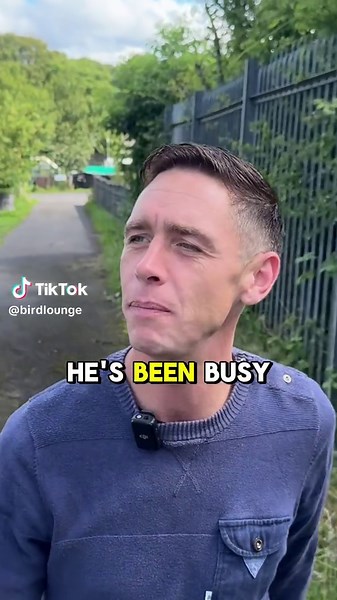 Building a Dream Pigeon Loft: Danny's Journey