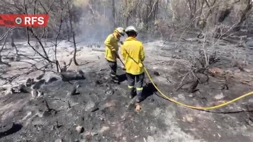 NSW Rural Fire Service on Instagram: "Firefighters from the #RFS and FRNSW, supported by aircraft have contained a bush fire which was burning under high voltage powerlines in the vicinity of Ku-Ring-Gai Chase Rd, Mount Colah. Thanks to the swift action of firefighters, the fire only burnt through a small stretch of bushland before being contained. Our crews will remain on scene throughout the afternoon, strengthening containment lines and blacking out any hotspots. Under the current weather con
