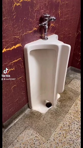 Classic Ceramic Urinal Design in Unique Bathroom