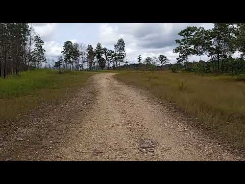 Xiaomi Redmi 9C | Camera Recording Test Sample. Full HD 1080p