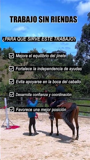 ¿Qué gana un jinete saltando sin riendas? #horsetraining #equitacion