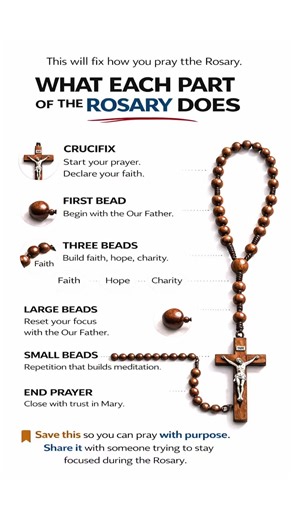 WHAT EACH PART OF THE ROSARY DOES Most people pray the Rosary without understanding what each part actually does. Every section has a purpose. The crucifix starts your faith with the Apostles’ Creed. The first bead begins with the Our Father. The three beads build faith, hope, and charity through the Hail Mary. The large beads reset your focus. The small beads train your mind through repetition and meditation. The ending prayer entrusts everything to Mary. When you understand this, your Rosary b