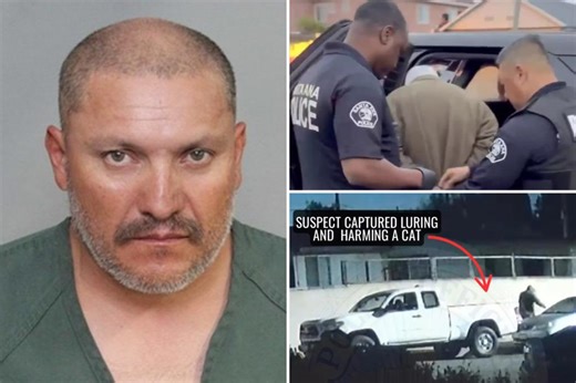 Alleged ‘serial cat killer’ nabbed in California after being caught on video: cops