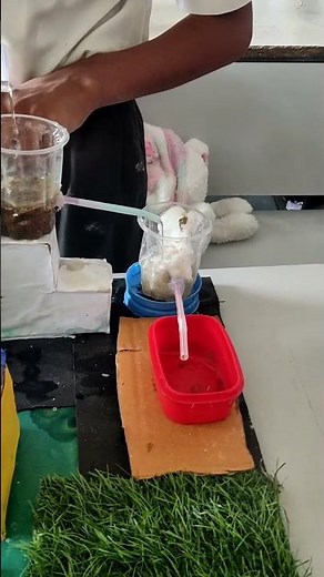 water filter system for home , science model , science fair model