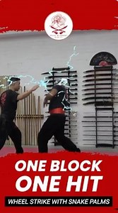 Circular snake strike! Using the force of a full body rotational movement, this finger strike delivers maximum power into a very small striking point. Please remember to practice with care, and make sure your fingers are conditioned enough to use this attack. #CircularSnakeStrike #WheelStrikeSnakePalms #WheelStrike #OneBlockOneHit | Head Academy Kung Fu