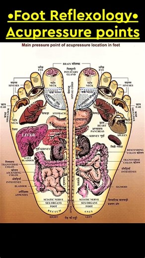 Reflexology chart in foot #REFLEXOLOGY #acupressure