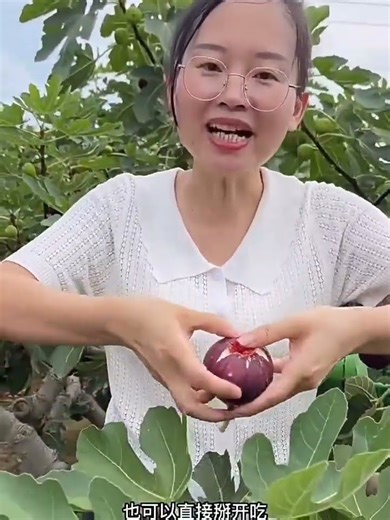 无花果 fig #fruit #bestdragonfruit #fruitcutting
