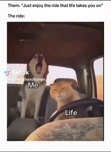 Embrace Life's Challenges: Growth Through Struggles