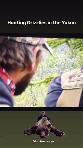 Grizzly Bear Hunting #grizzlybearhunting #bearhunting #yukonhunting #30-06 #dangerousgamehunting s