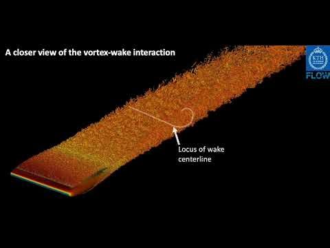 High fidelity simulation of wing tip vortices